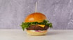 4. Veggie Burger