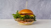 1. Classic Burger